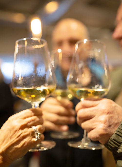 Nota de cata Txakoli Urdaibai 2019