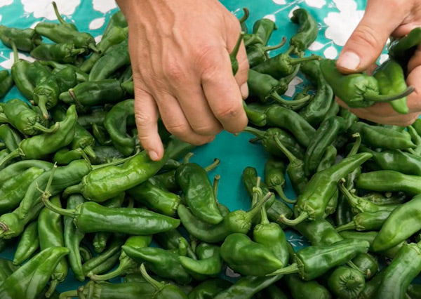 Cómo preparar los pimientos de Gernika