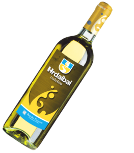 Nota de cata del txakoli Urdaibai 2020